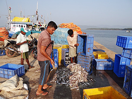 World Fisheries Day Prayer